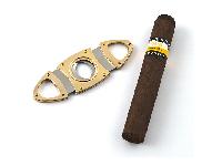 ��������� ��� �����, ���. AFN-CT101G �� Aficionado