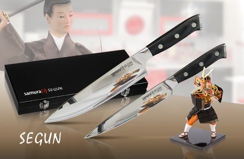 Набор из 2 ножей Samura SEGUN, SS-0021, SS-0085 в подарочной коробке, G-10, SS-0210/G-10
